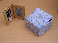 Dscn0181.jpg