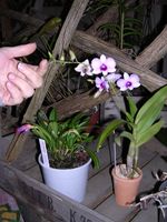 Dscn4808.jpg