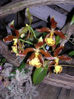 Dscn4810.jpg