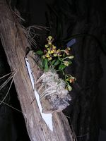 Dscn4812.jpg