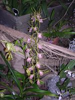 Dscn4814.jpg