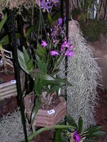 Dscn4821.jpg