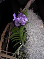 Dscn4822.jpg