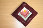Fleur-Porte-Ouverte-Seneffe-08.jpg