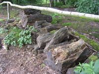 Dscn1345.jpg