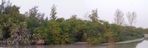 Vue-Sur-Picans-1.jpg
