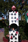 Img-3762.jpg