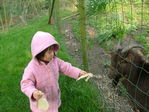 Dscf6154.jpg