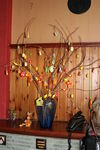 Img-4212.jpg