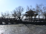 Dscn7170.jpg