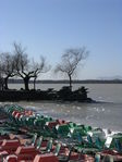 Dscn7172.jpg