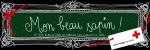 mon_beau_sapin_org.png