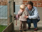 Dscf6138.jpg