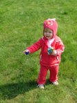Dscf6220.jpg