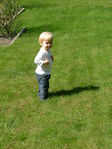 Dscf6533.jpg