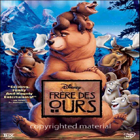 Frere-Des-Ours-Nimos-Fc.jpg